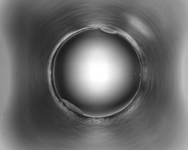 X0000098070955200804110920