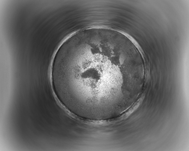 X0000098070957200804110920