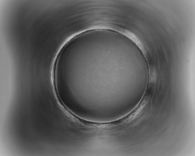 X0000098070958200804110920