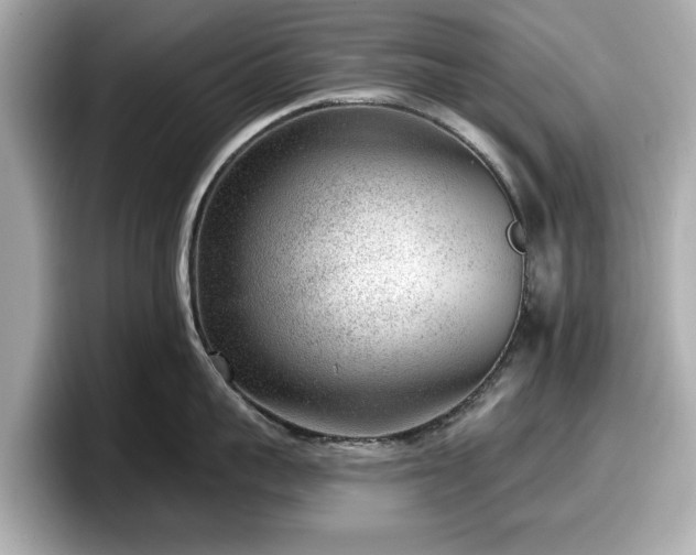 X0000098070959200804110920