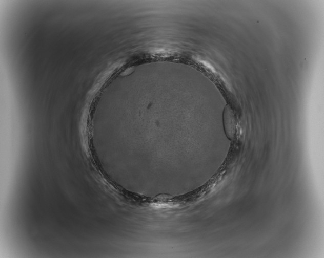 X0000098070961200804110919