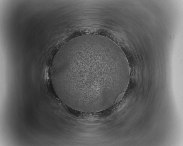 X0000098070962200804110919