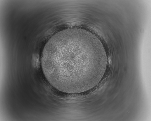 X0000098070963200804110919