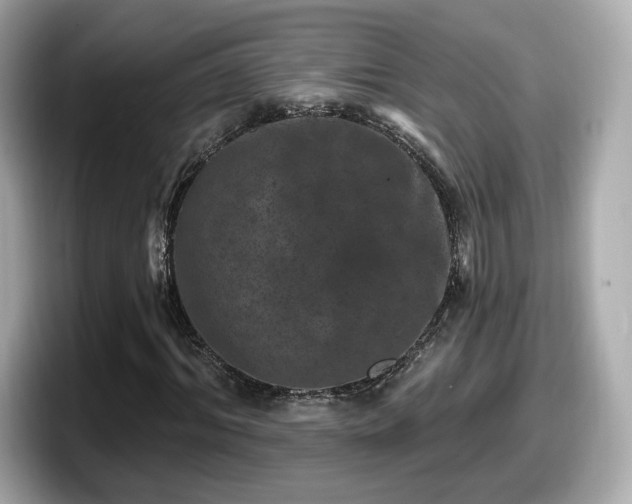 X0000098070964200804110919