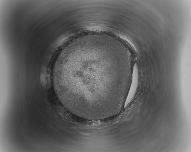 X0000098070968200804110919