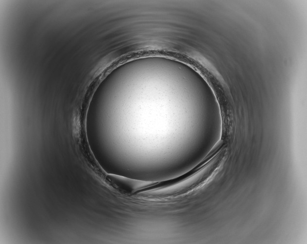 X0000098070969200804110919