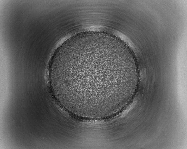 X0000098070970200804110919