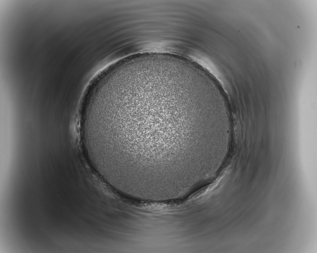 X0000098070971200804110919