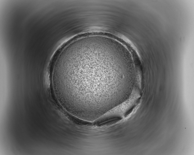 X0000098070973200804110919