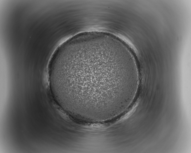 X0000098070974200804110919