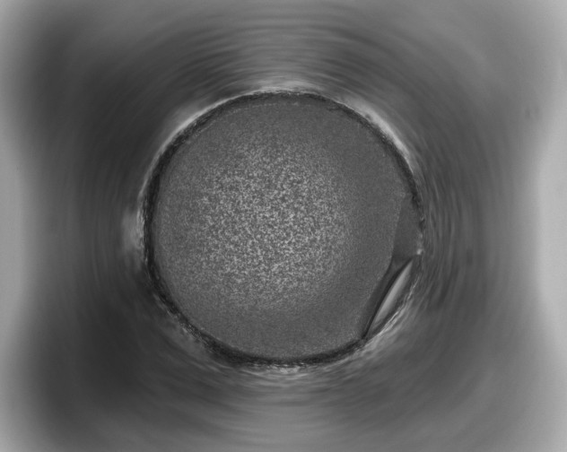 X0000098070975200804110919