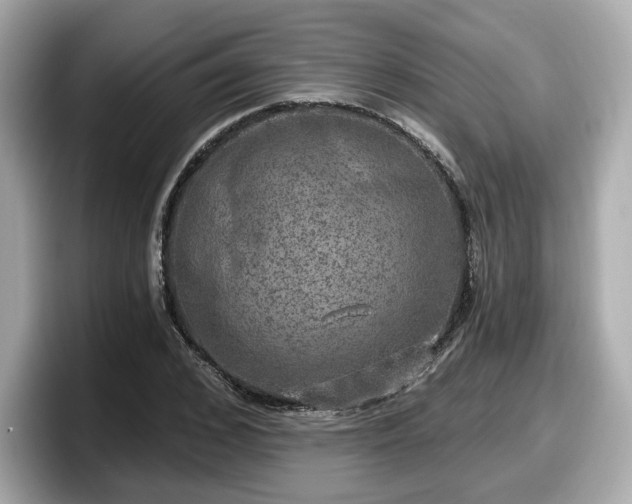 X0000098070976200804110919