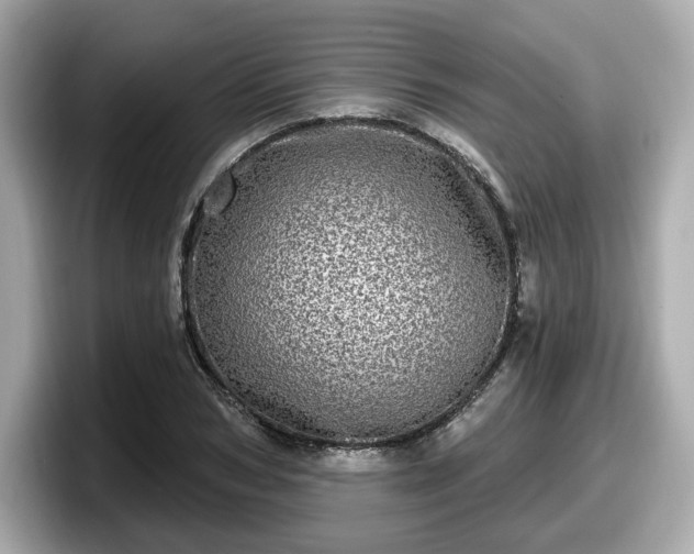 X0000098070978200804110919