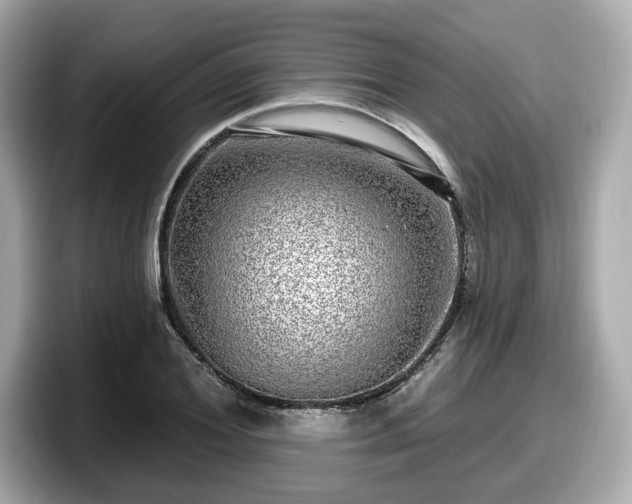 X0000098070980200804110919