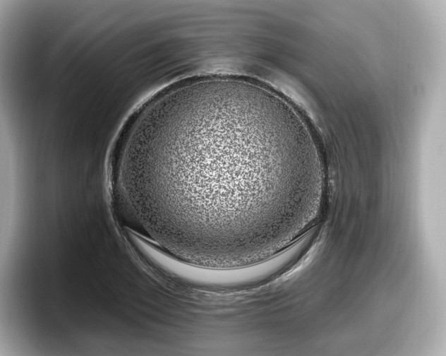 X0000098070981200804110919