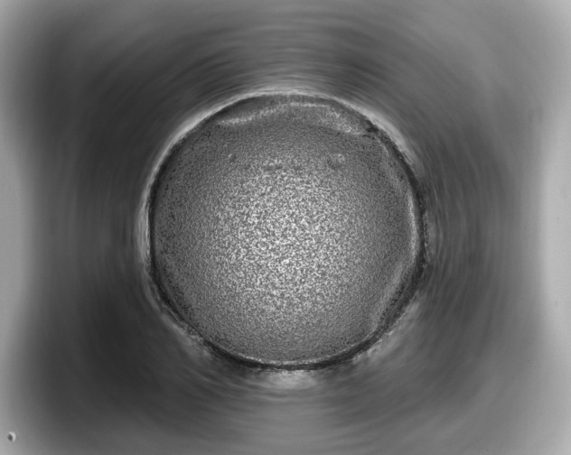 X0000098070982200804110919