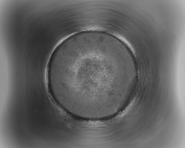 X0000098070983200804110919