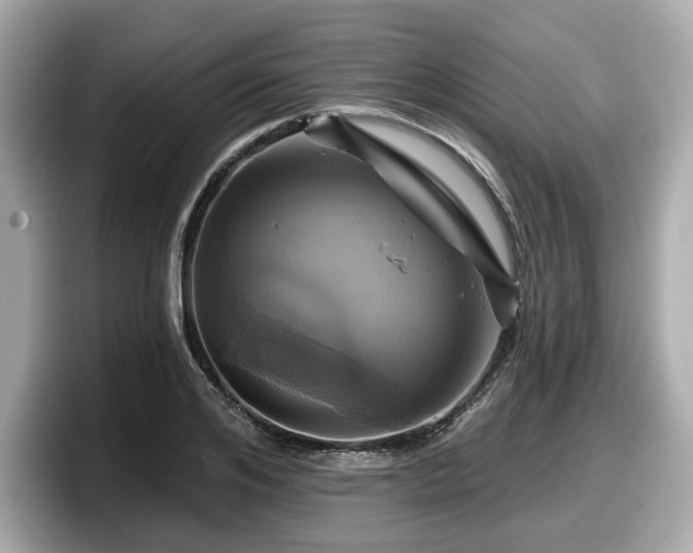 X0000098070984200804110919