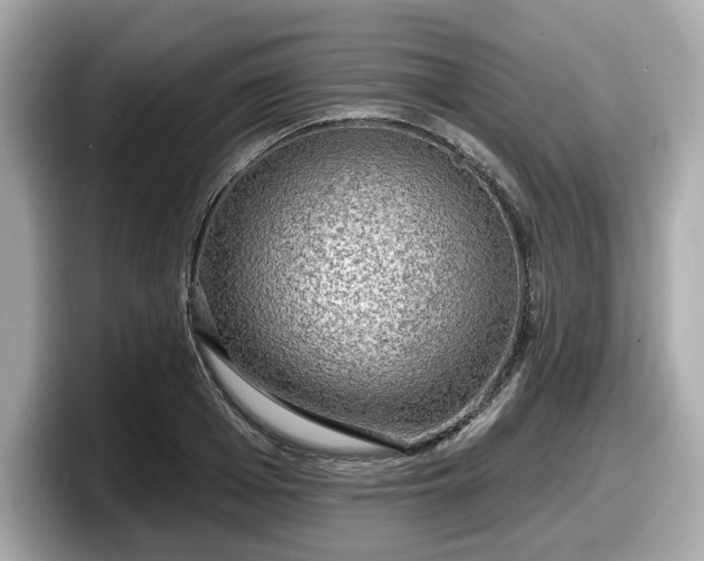 X0000098070985200804110919