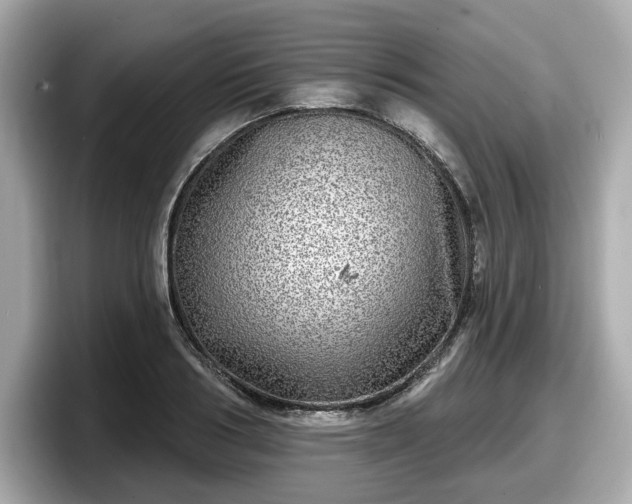 X0000098070986200804110919