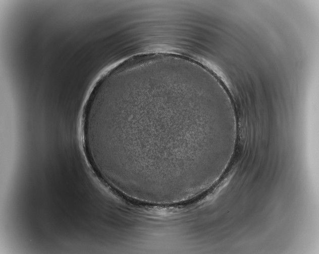 X0000098070987200804110919