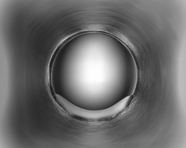 X0000098070988200804110919