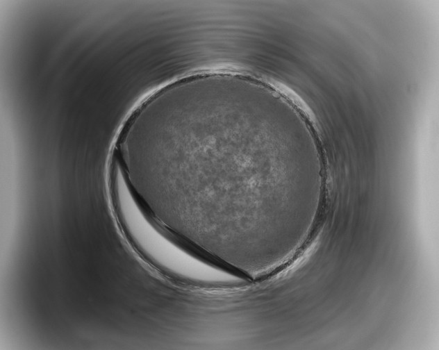 X0000098070989200804110919