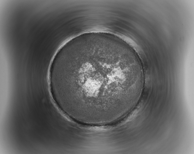 X0000098070990200804110919