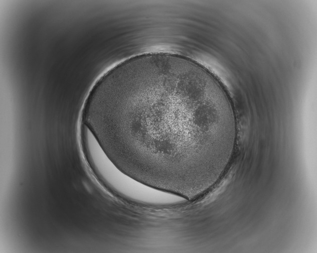 X0000098070991200804110919