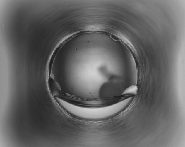 X0000098070992200804110919