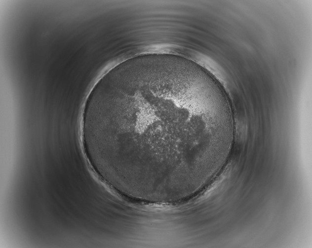 X0000098070994200804110919