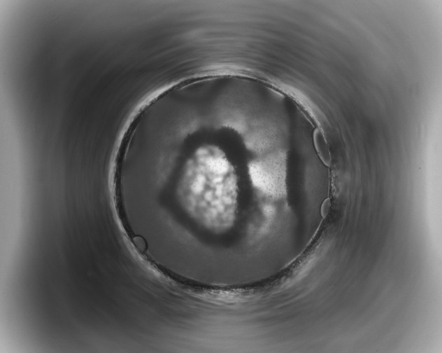 X0000098070995200804110919