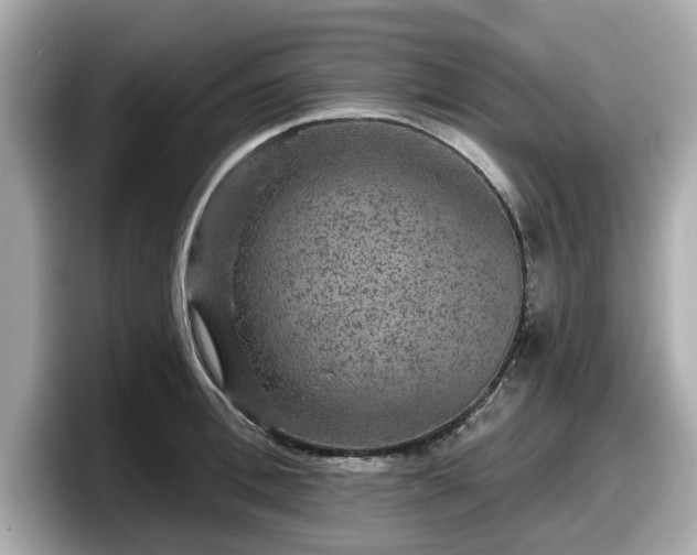 X0000098070996200804110919