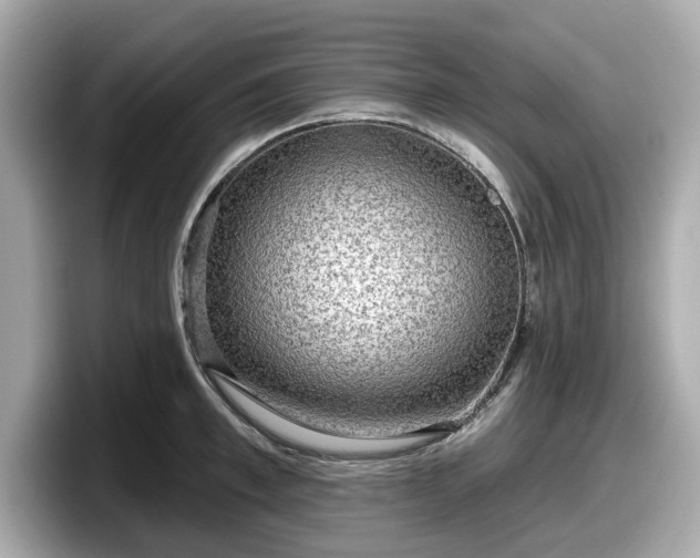 X0000098070997200804110919