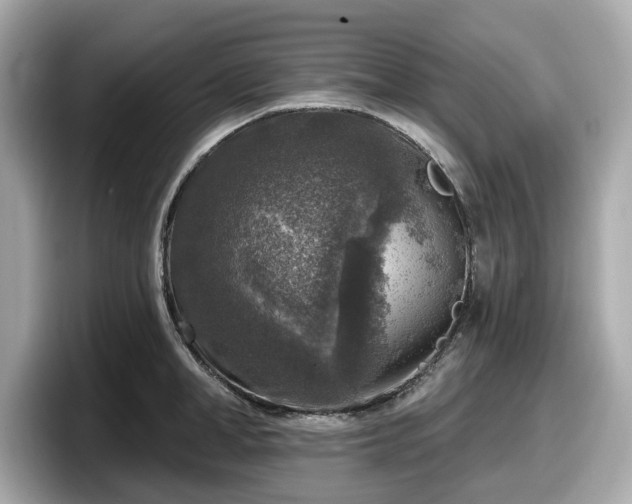 X0000098070998200804110919