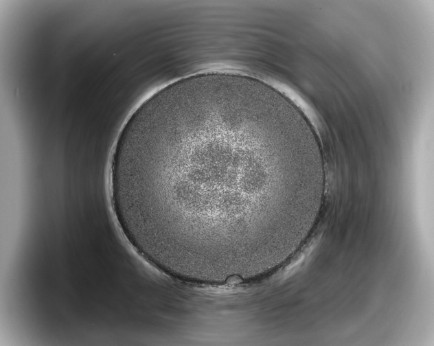 X0000098070999200804110919