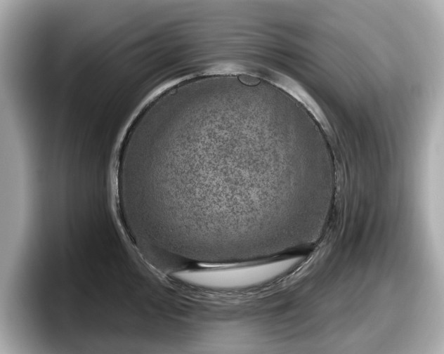 X0000098071000200804110919