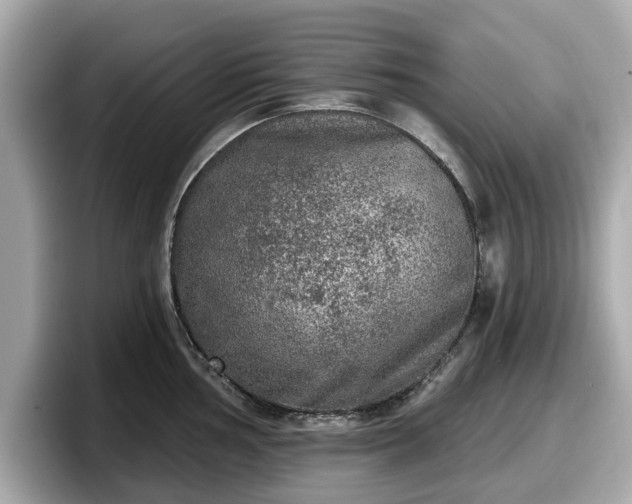 X0000098071002200804110919