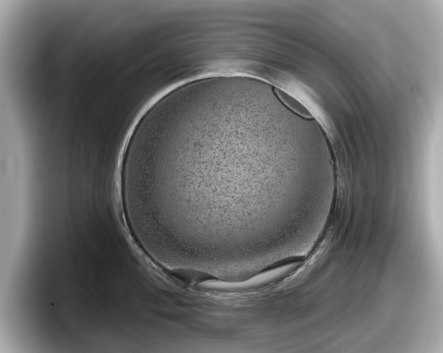 X0000098071004200804110919