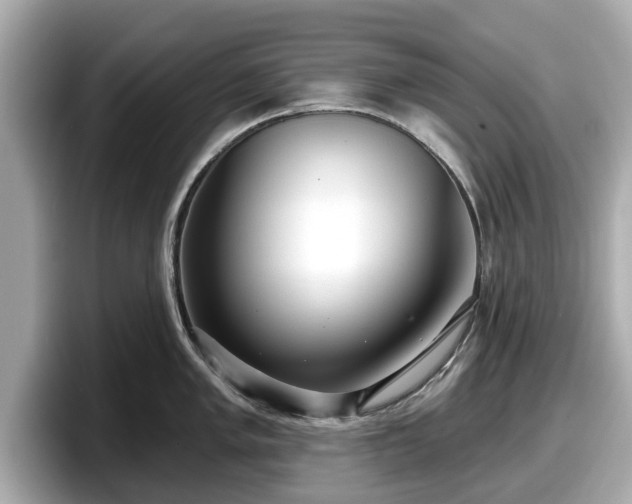 X0000098071005200804110919