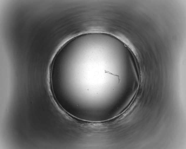 X0000098071006200804110919