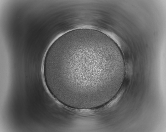 X0000098071007200804110919