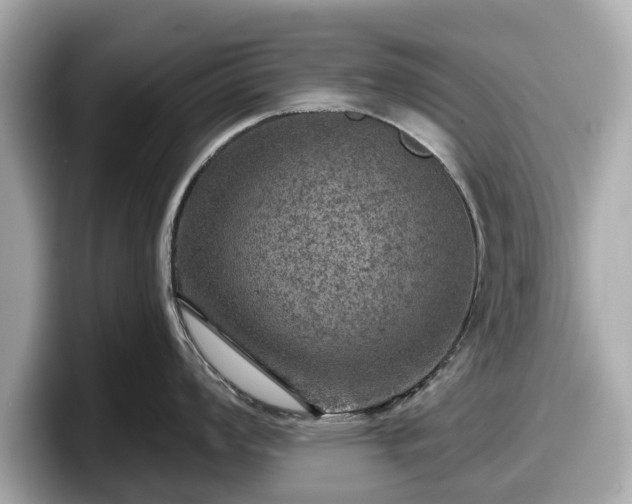 X0000098071008200804110919