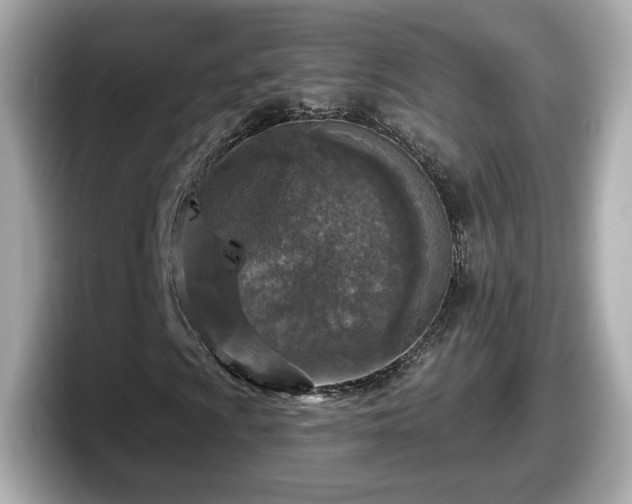 X0000098071009200804110918