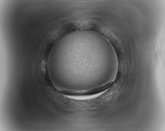 X0000098071010200804110918