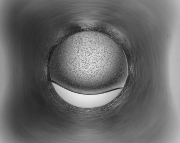 X0000098071012200804110918