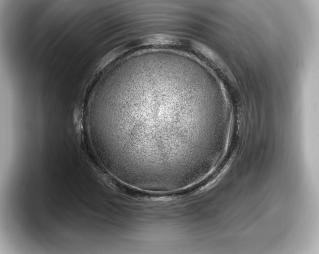 X0000098071017200804110918