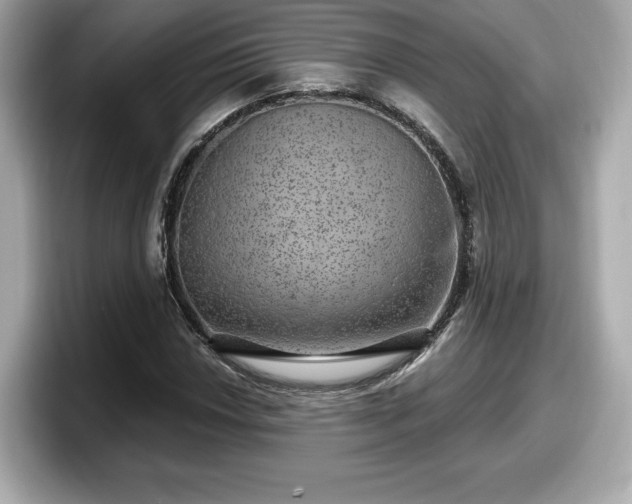 X0000098071018200804110918