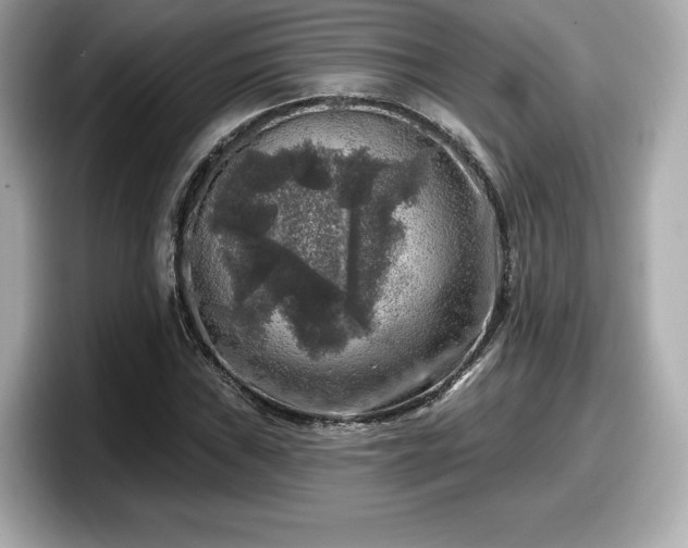 X0000098071019200804110918