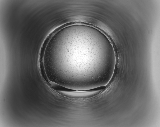 X0000098071020200804110918